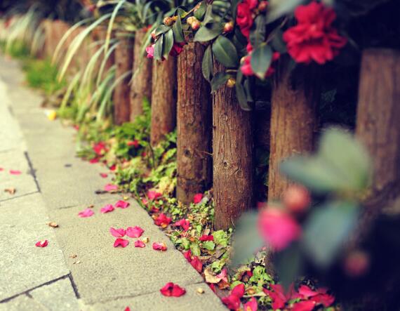 阳光文案温柔阳光短句 阳光的文案长句(图1) 阳光文案温柔阳光短句 阳光的文案长句(图1)