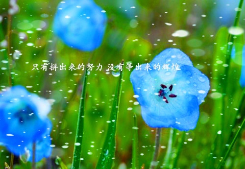 陈仲举言为士短句 陈仲举言为士则说明什么(图1)