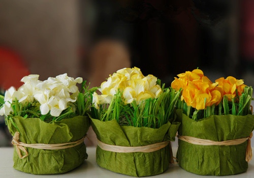 青春阳光的文案短句 青春阳光简短八字(图1)