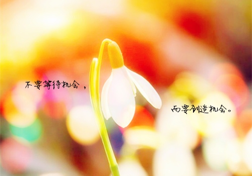 革命友谊的句子经典语录 革命友谊暗示什么(图1) 革命友谊的句子经典语录 革命友谊暗示什么(图1)