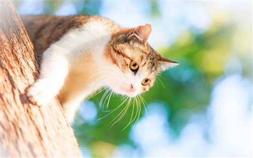 餐饮店点评经典语录 餐饮点评100字通用(图1)