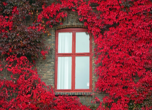 骂男朋友的句子经典语录 骂男朋友的一段话不带脏字(图1)