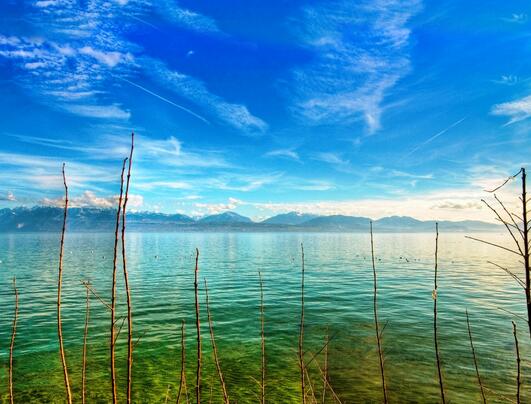 鼓励自己读书的励志名言 鼓励读书励志的话简短霸气(图1)