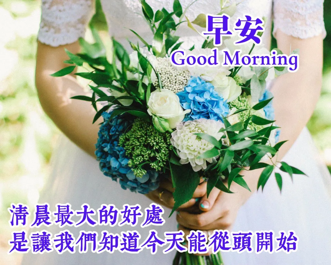 「2022.08.16」早安心语，正能量经典语录分享，被秒赞的励志图片(图32)