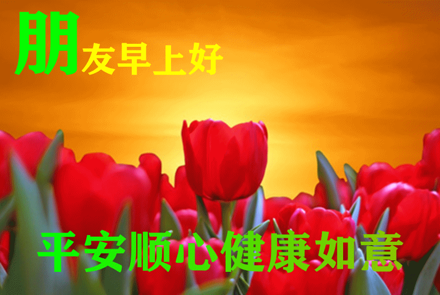 「2022.08.16」早安心语，正能量经典语录分享，被秒赞的励志图片(图41)