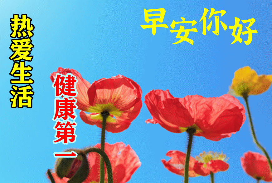 「2022.08.16」早安心语，正能量经典语录分享，被秒赞的励志图片(图43)