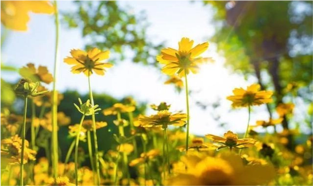 「2022.08.16」早安心语，正能量经典语录分享，被秒赞的励志图片(图44)