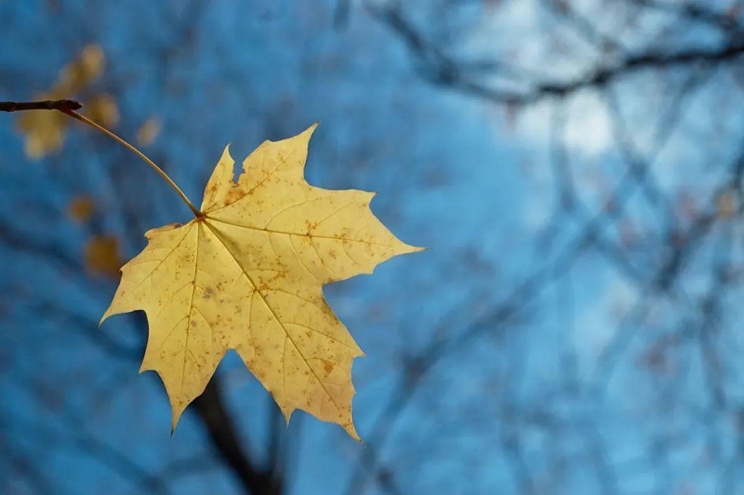 「2022.08.16」早安心语，正能量经典语录分享，被秒赞的励志图片(图45)