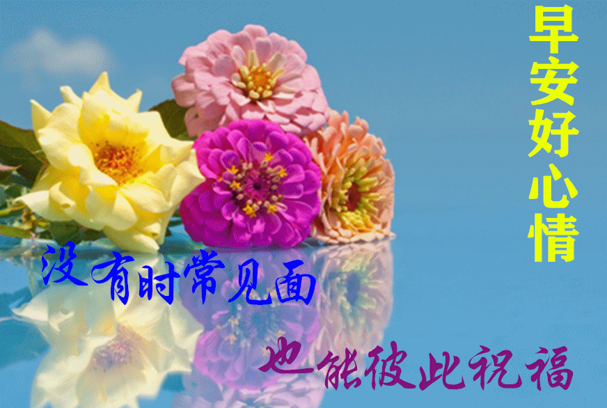 「2022.08.16」早安心语，正能量经典语录分享，被秒赞的励志图片(图46)