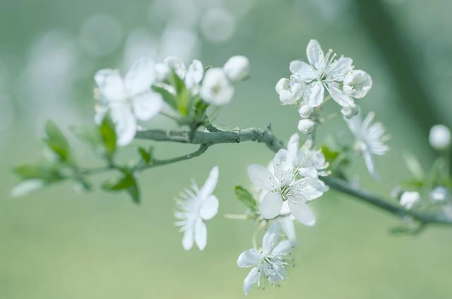 “平等”只是个幌子吗？《易经》如是说(图3)