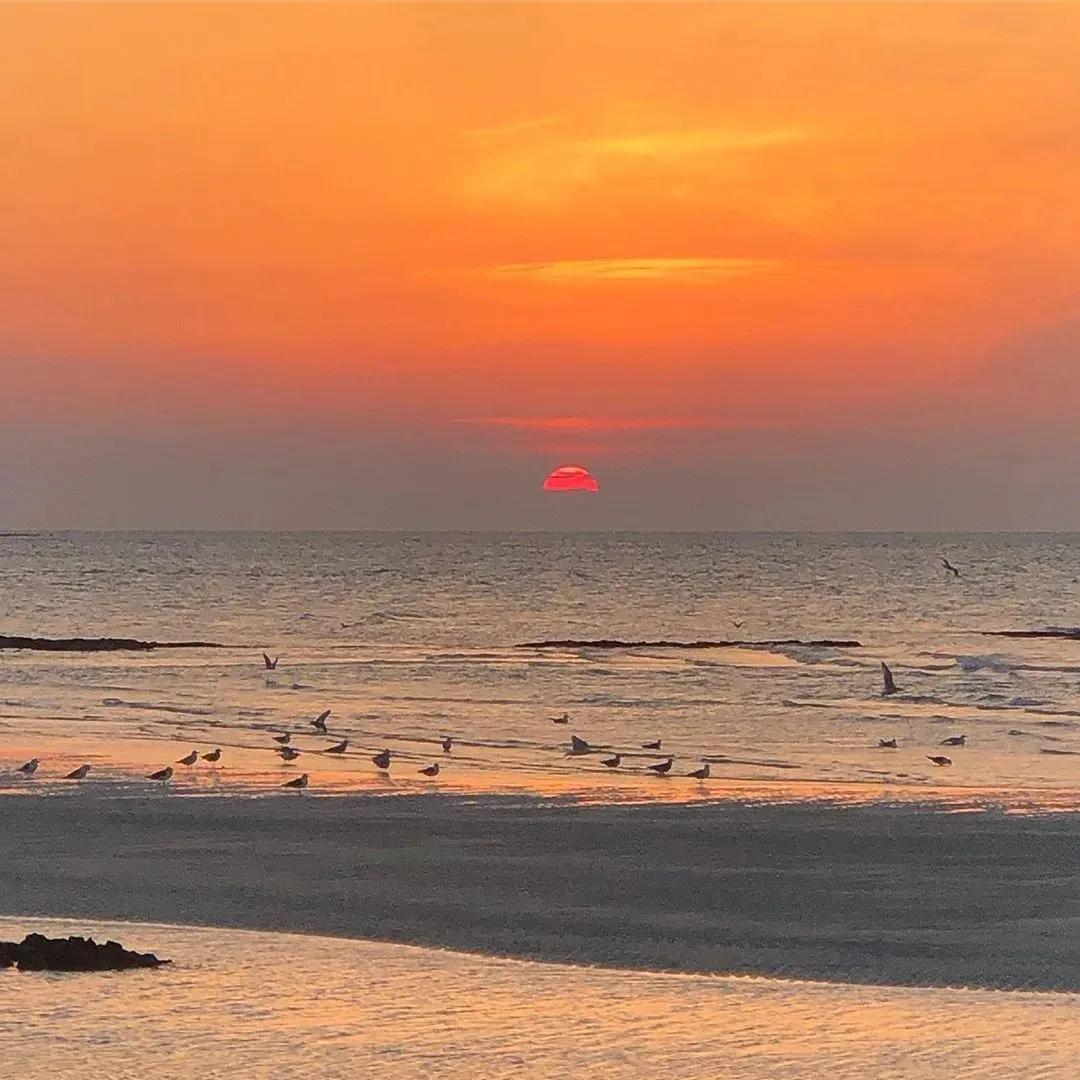 经典简短的励志语录(图1)