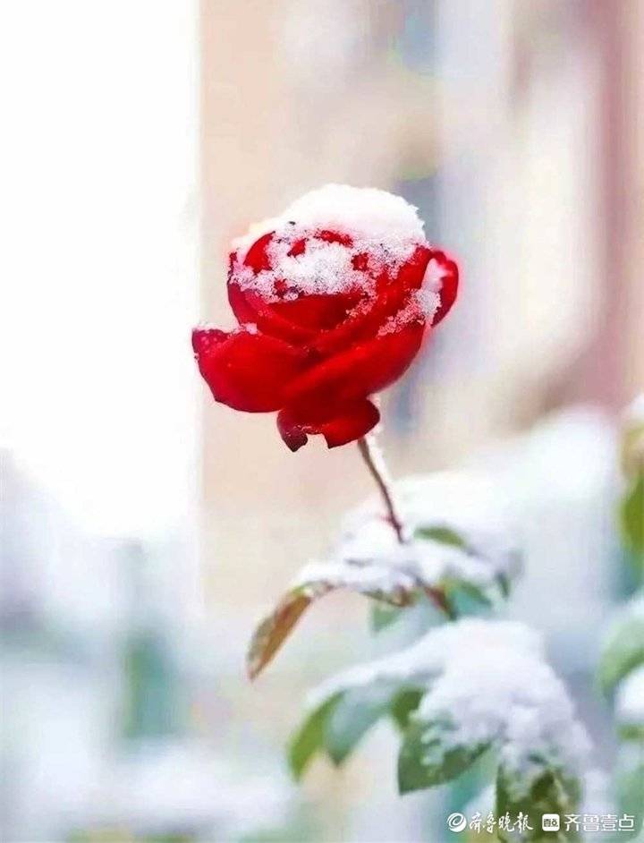 文天祥｜一段好风流（下）(图1)