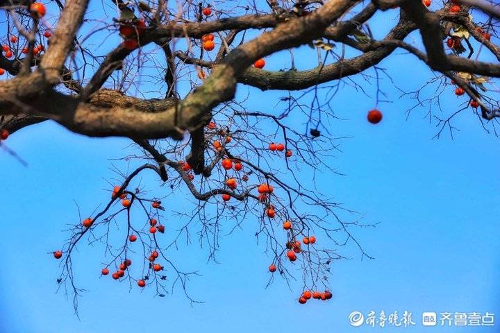 文天祥｜一段好风流（下）(图8)