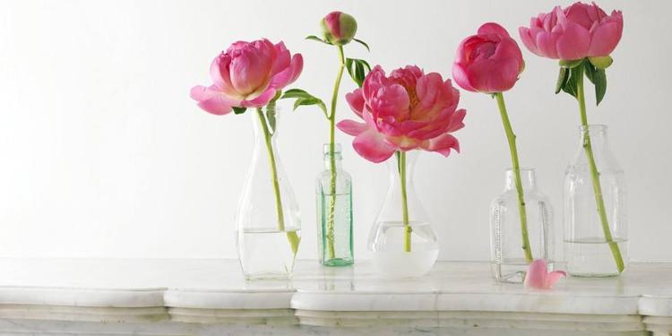 在女友空间留言的句子 给女友空间留言的情话(图2)