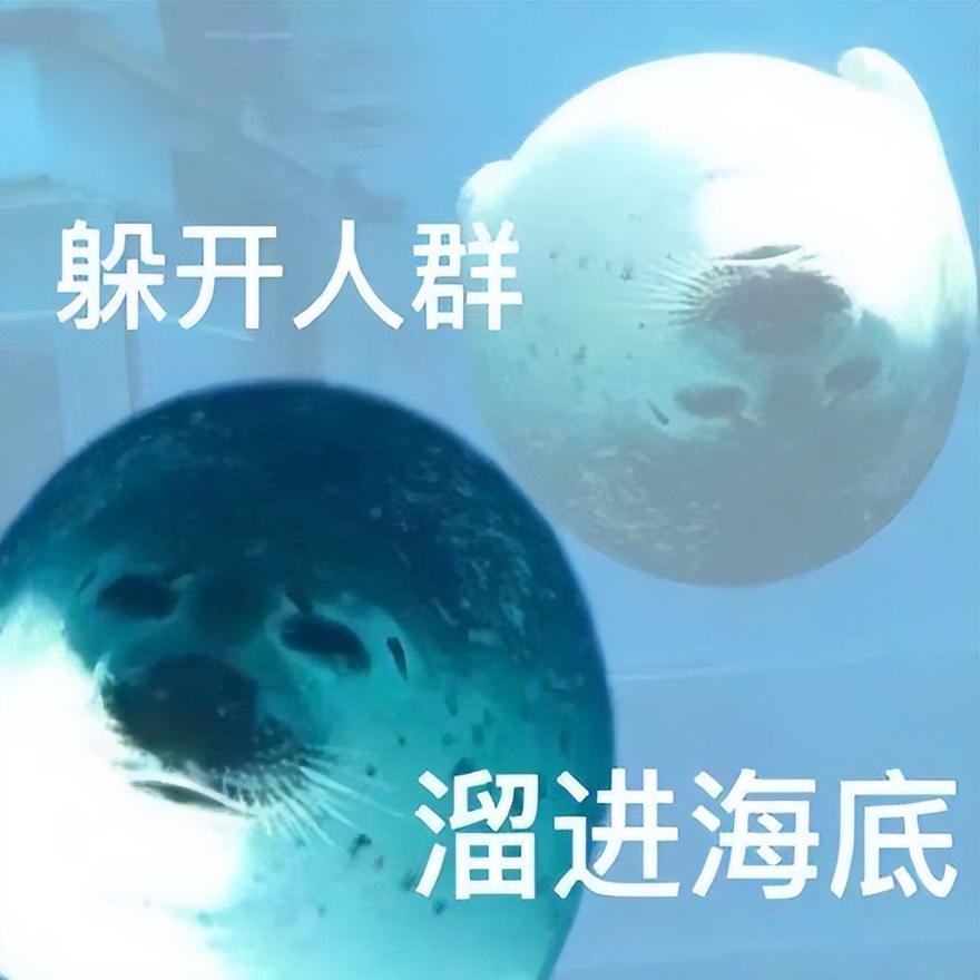 有木有emo时看了也会呲大牙的沙雕文案？(图1)