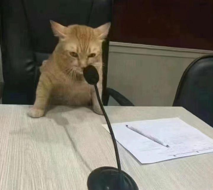 有木有emo时看了也会呲大牙的沙雕文案？(图3)