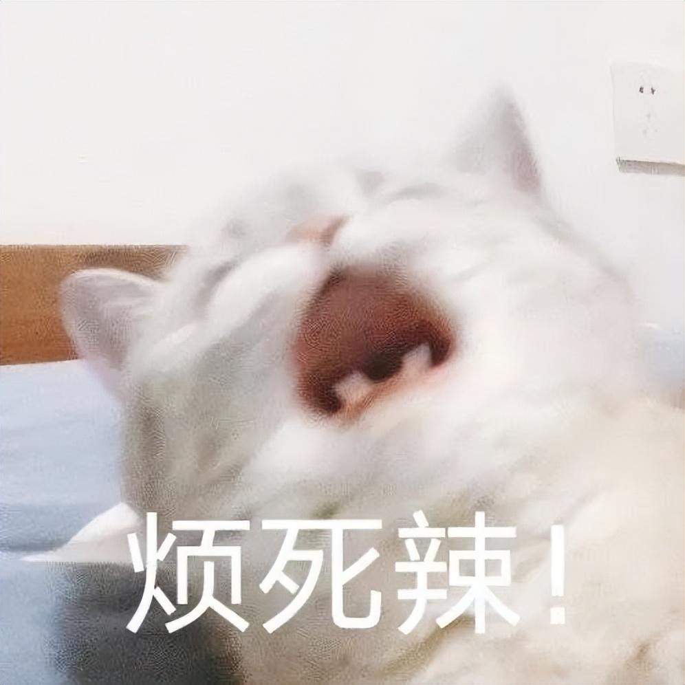 有木有emo时看了也会呲大牙的沙雕文案？(图10)