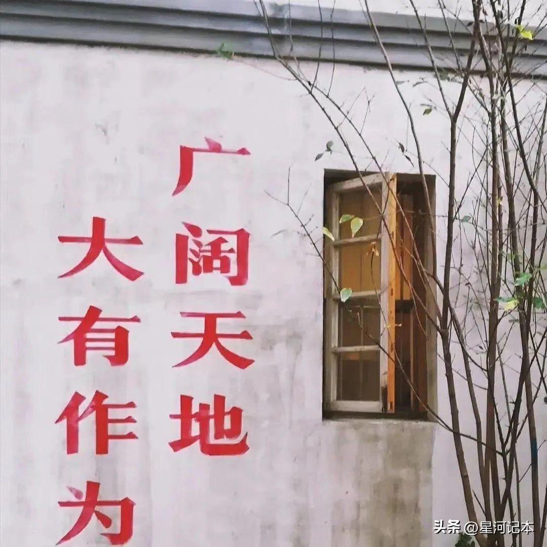 文案｜高考倒计时，​我们终将上岸，阳光万里(图4)