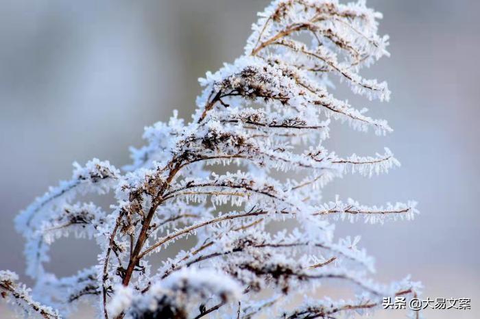 40句激励成长的句子，正能量感悟人生励志，青春因奋斗而绚丽(图4)