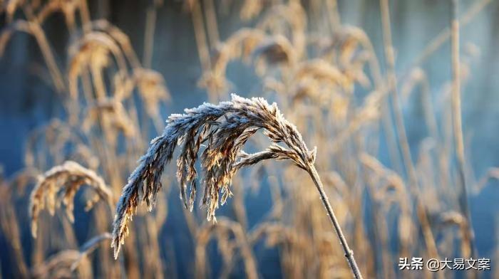 40句激励成长的句子，正能量感悟人生励志，青春因奋斗而绚丽(图5)