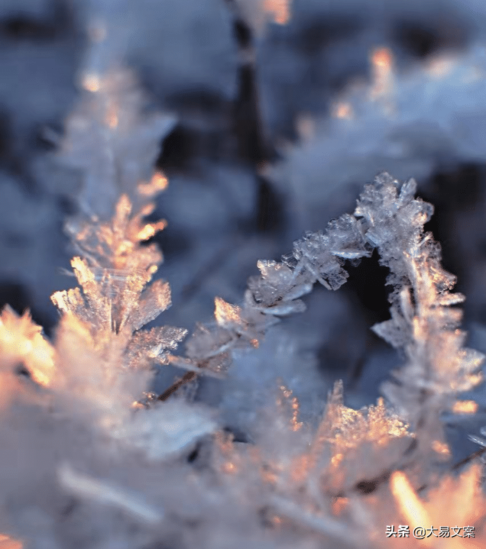 40句激励成长的句子，正能量感悟人生励志，青春因奋斗而绚丽(图8)