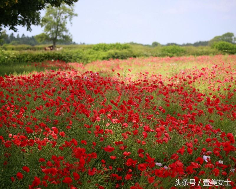 “京东口红文案”引众议，性别平等应有的样子(图7)