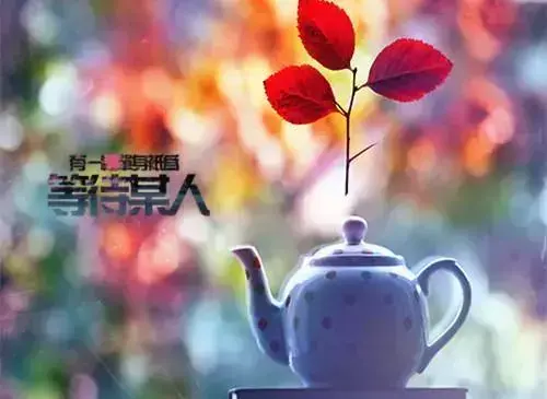 2019抖音里爱情独白的句子，句句伤感又扎心！(图1)