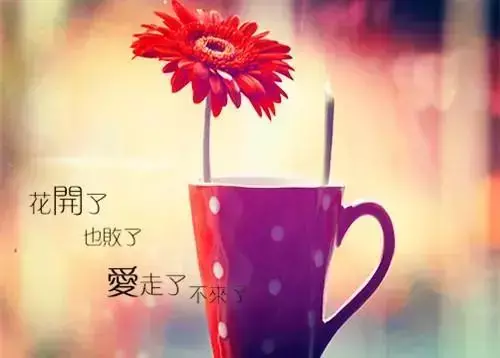 2019抖音里爱情独白的句子，句句伤感又扎心！(图3)