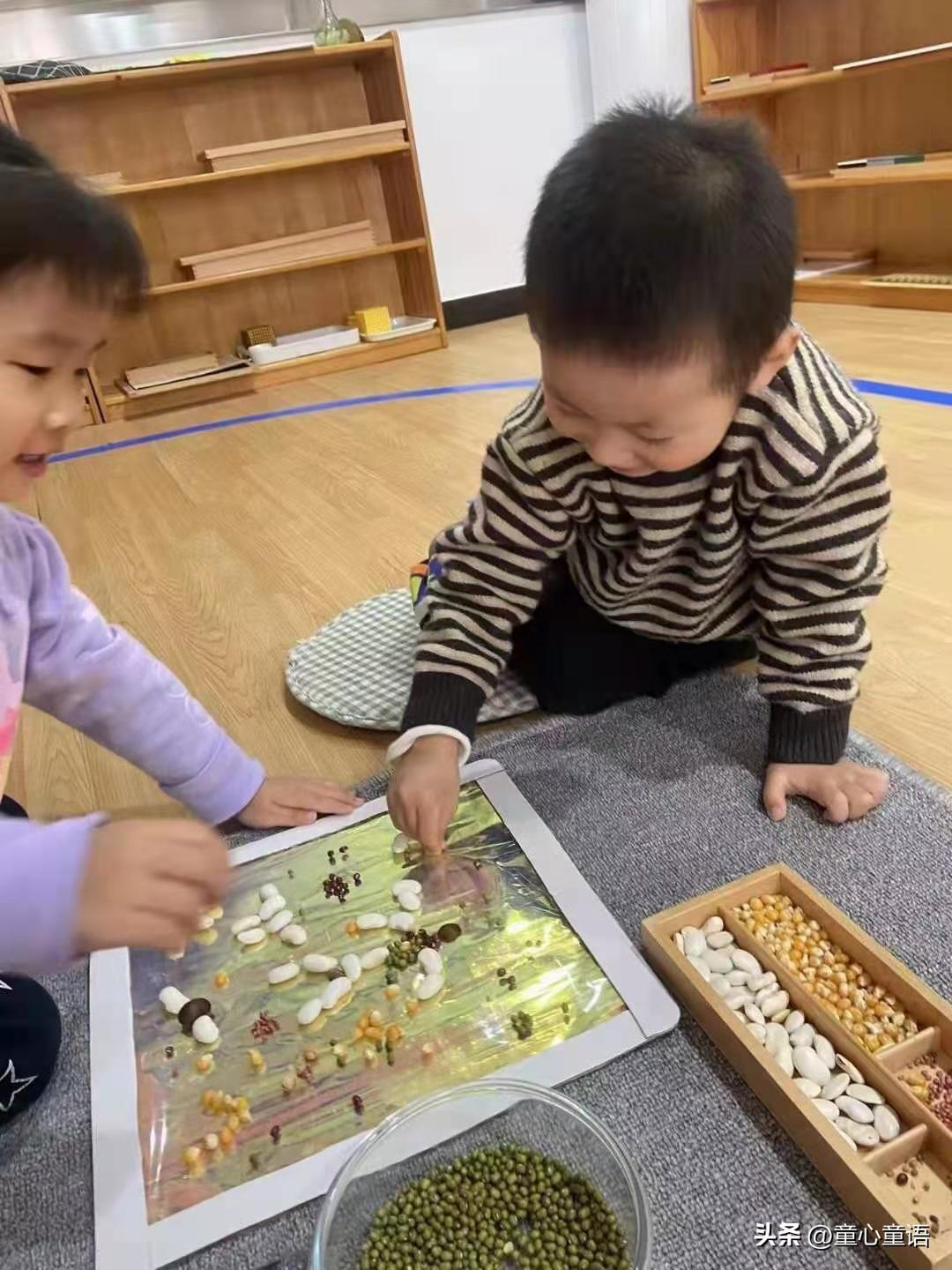 「童心童语分享」蒙台梭利教育之无奖惩教育观(图4)