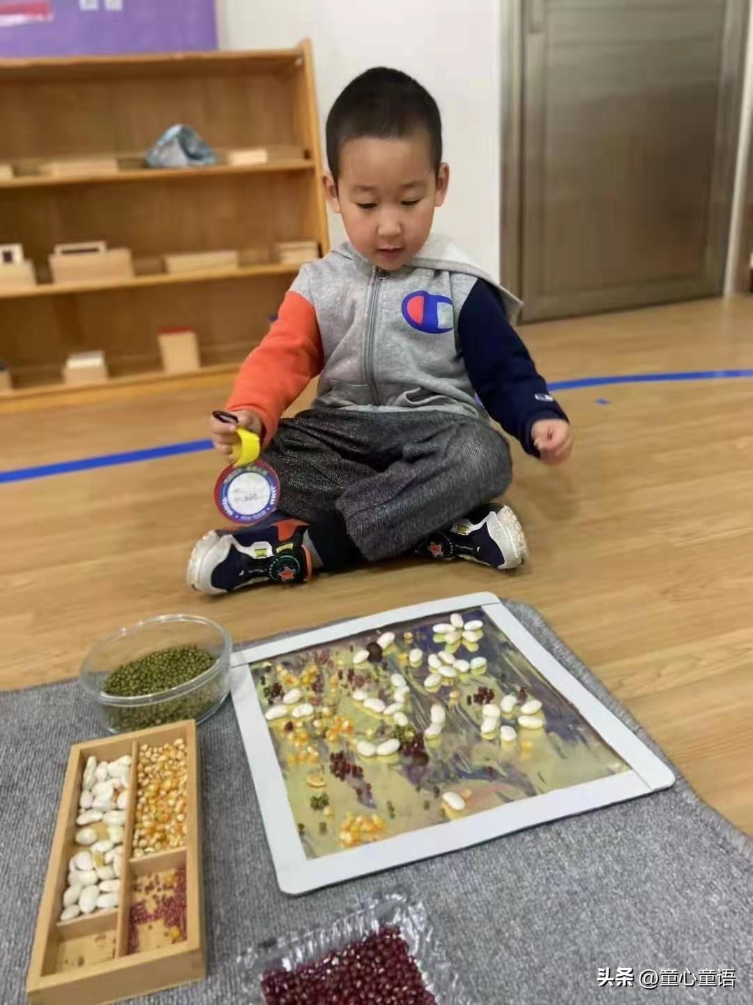 「童心童语分享」蒙台梭利教育之无奖惩教育观(图5)