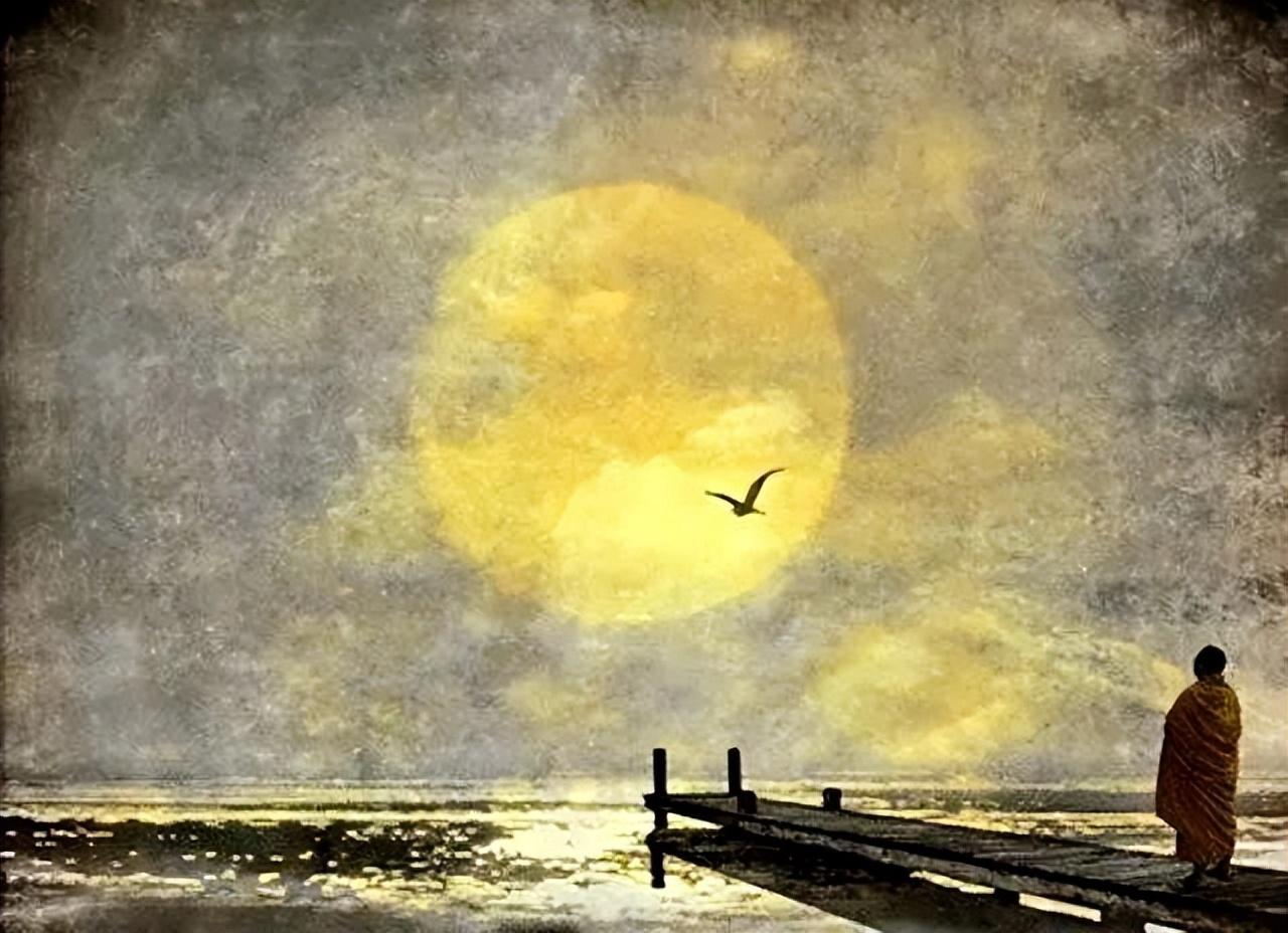 50个金句，每一个都胜读十年书(图4)