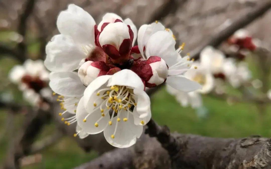 表达心存感激的句子70条经典语录大全(图2)