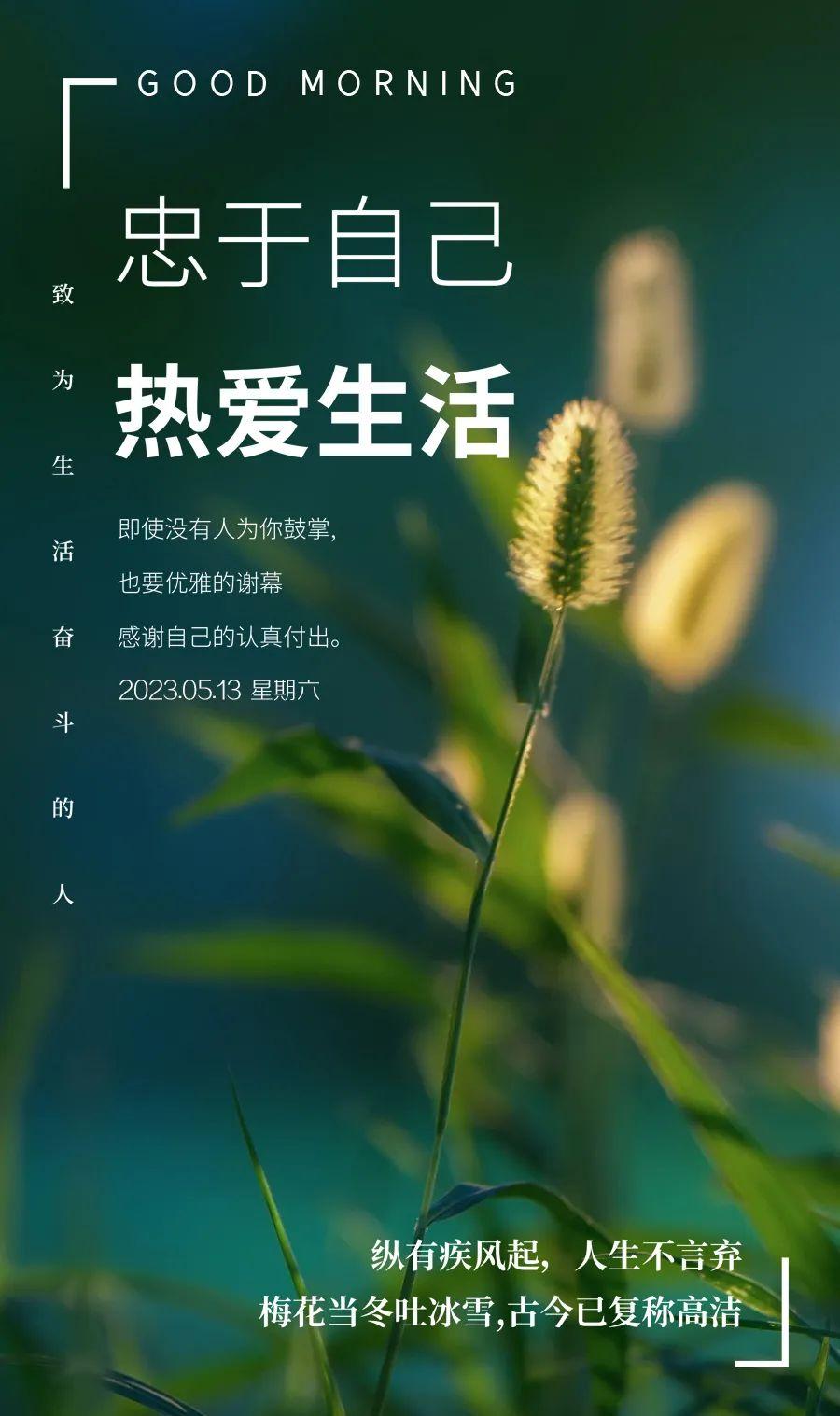 「2023.05.13」早安心语，正能量努力的精彩文案 唯美清晨图文精选(图3)
