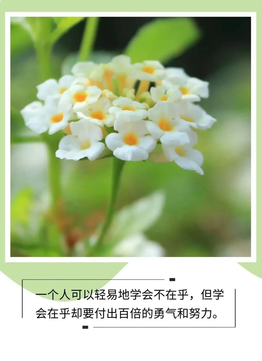 「2023.05.13」早安心语，正能量努力的精彩文案 唯美清晨图文精选(图13)