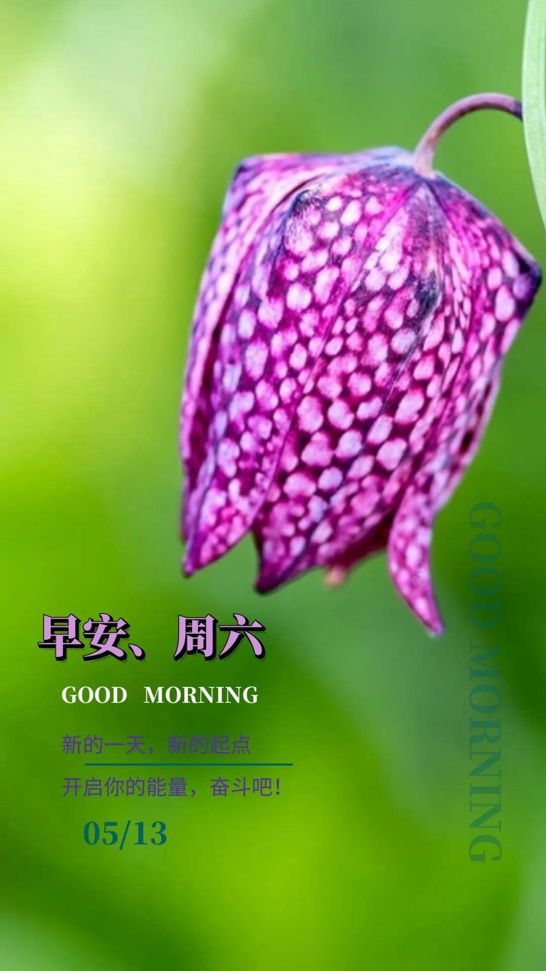 「2023.05.13」早安心语，正能量努力的精彩文案 唯美清晨图文精选(图27)