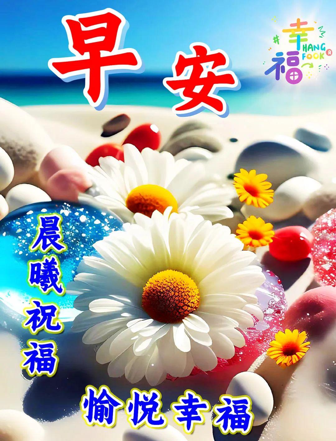 「2023.05.13」早安心语，正能量努力的精彩文案 唯美清晨图文精选(图33)