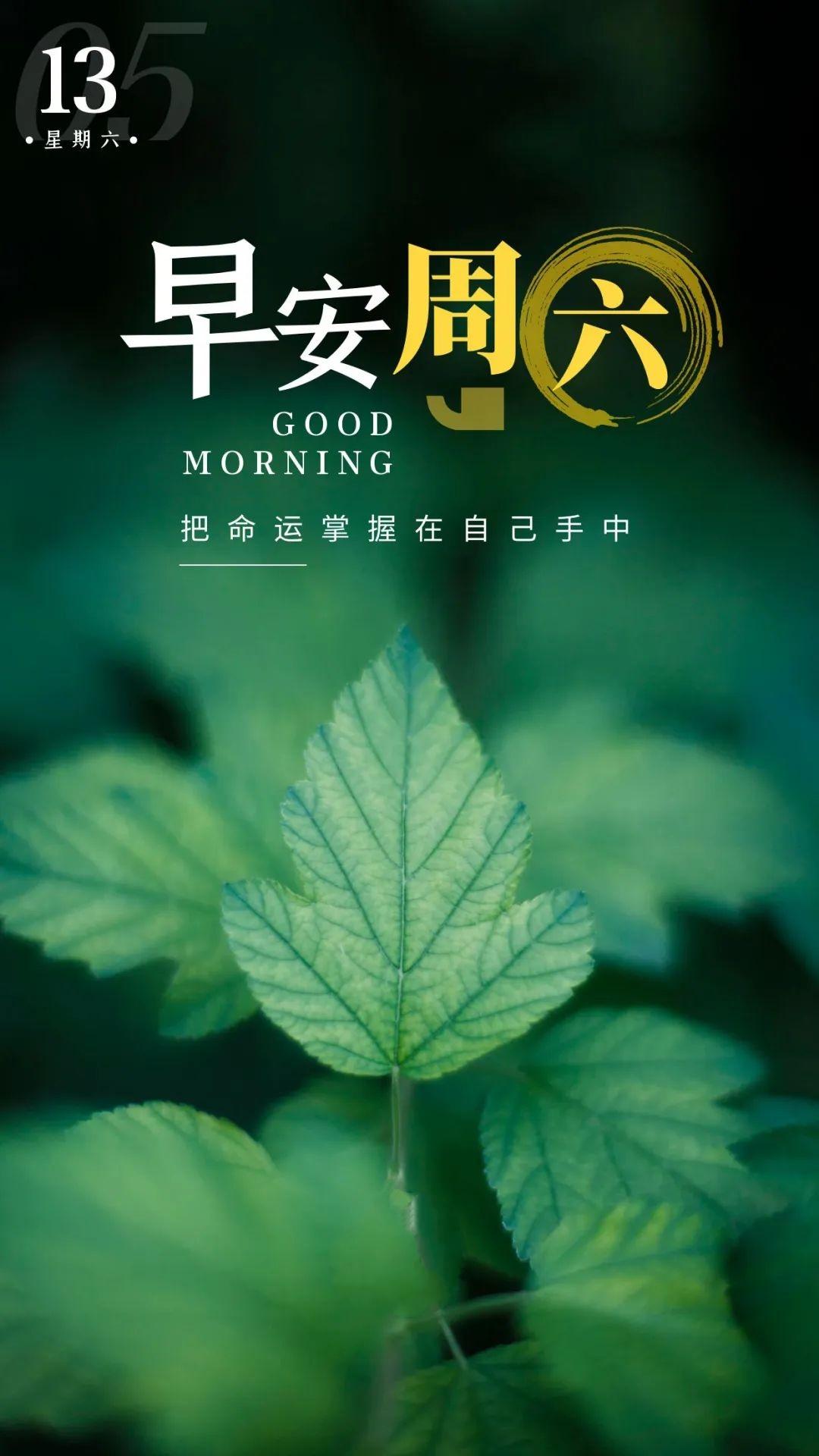 「2023.05.13」早安心语，正能量努力的精彩文案 唯美清晨图文精选(图34)