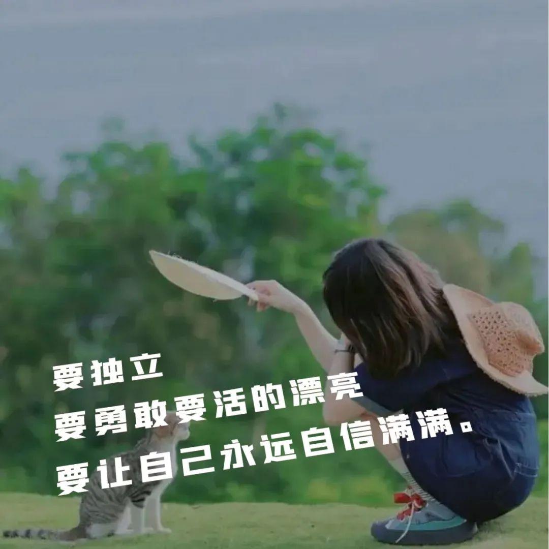 「2023.05.13」早安心语，正能量努力的精彩文案 唯美清晨图文精选(图40)