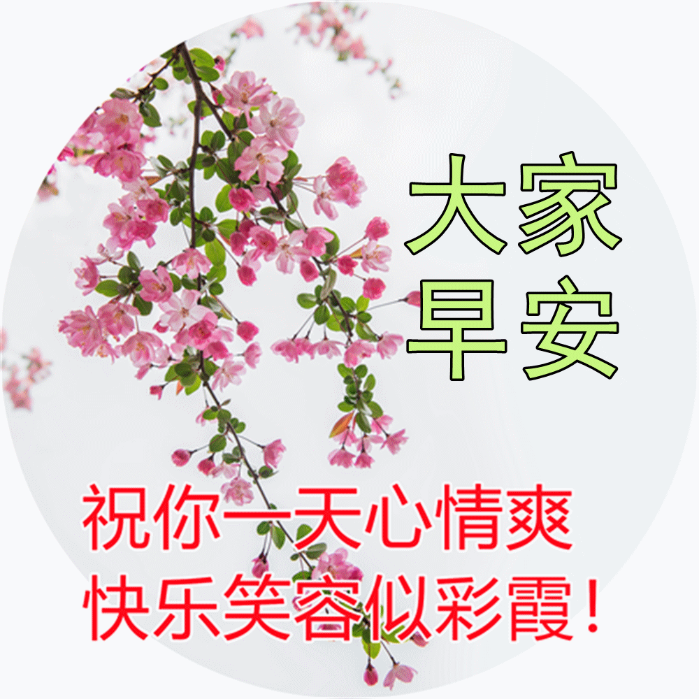 「2023.05.13」早安心语，正能量努力的精彩文案 唯美清晨图文精选(图42)
