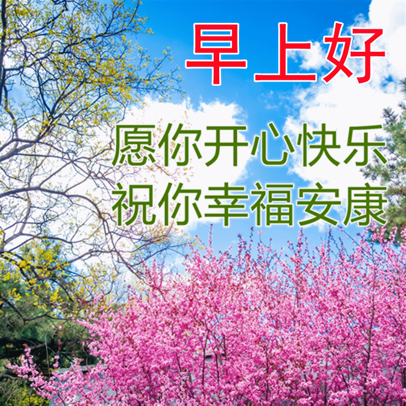 「2023.05.13」早安心语，正能量努力的精彩文案 唯美清晨图文精选(图43)
