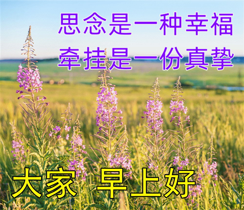 「2023.05.13」早安心语，正能量努力的精彩文案 唯美清晨图文精选(图44)
