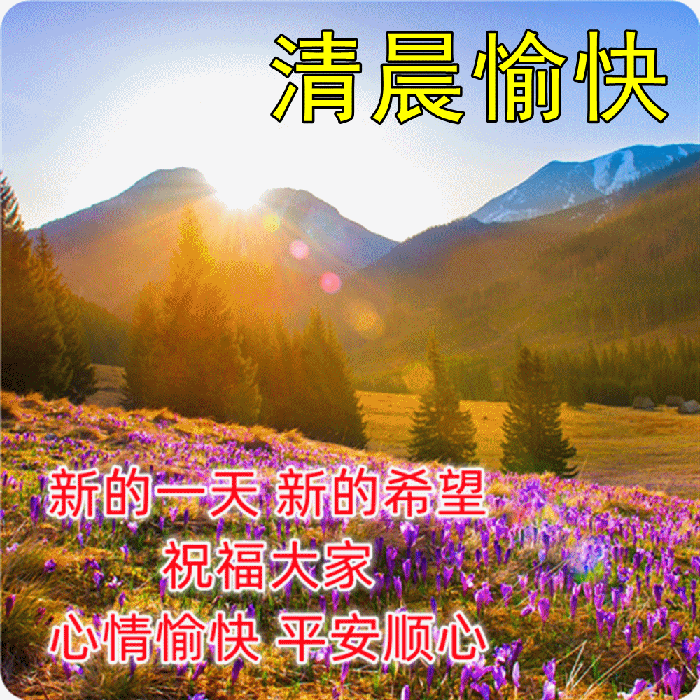 「2023.05.13」早安心语，正能量努力的精彩文案 唯美清晨图文精选(图45)