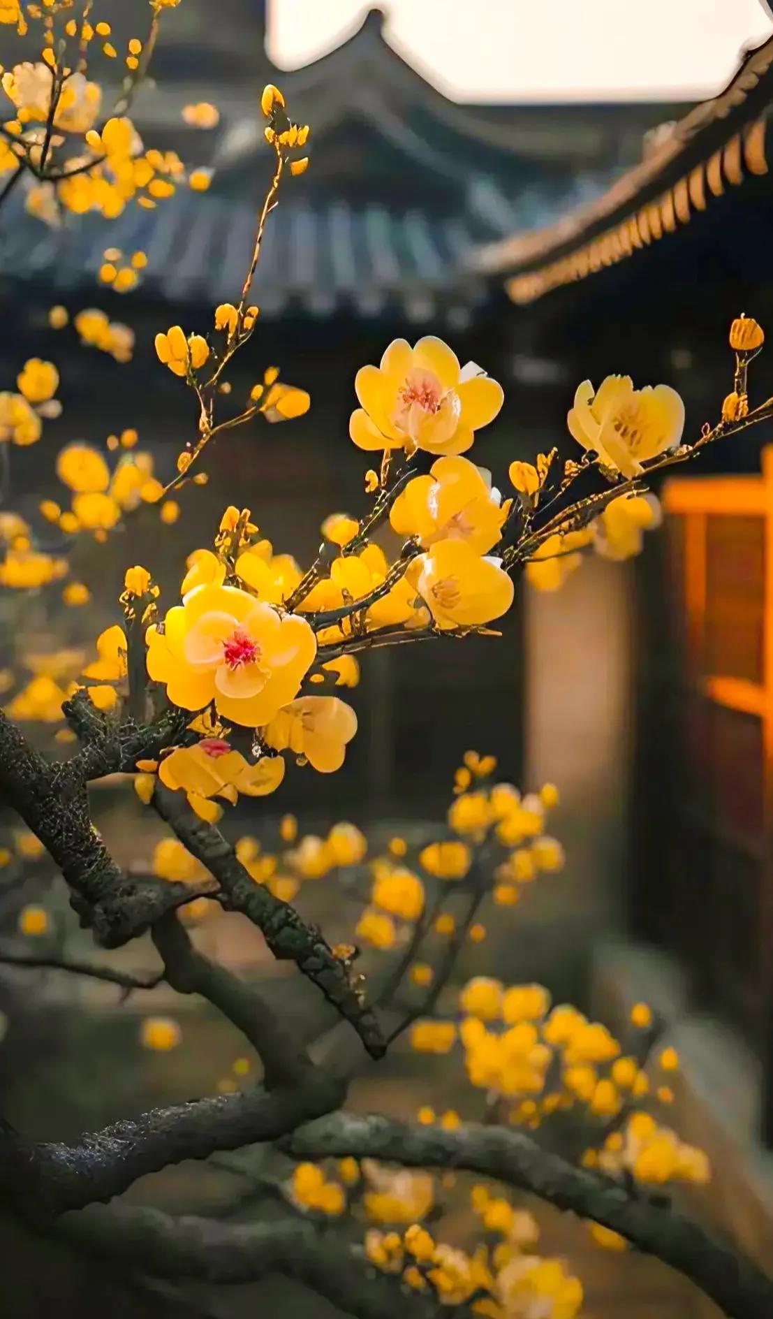 认真工作，用心生活，善待自己，人生才有意义(图1)