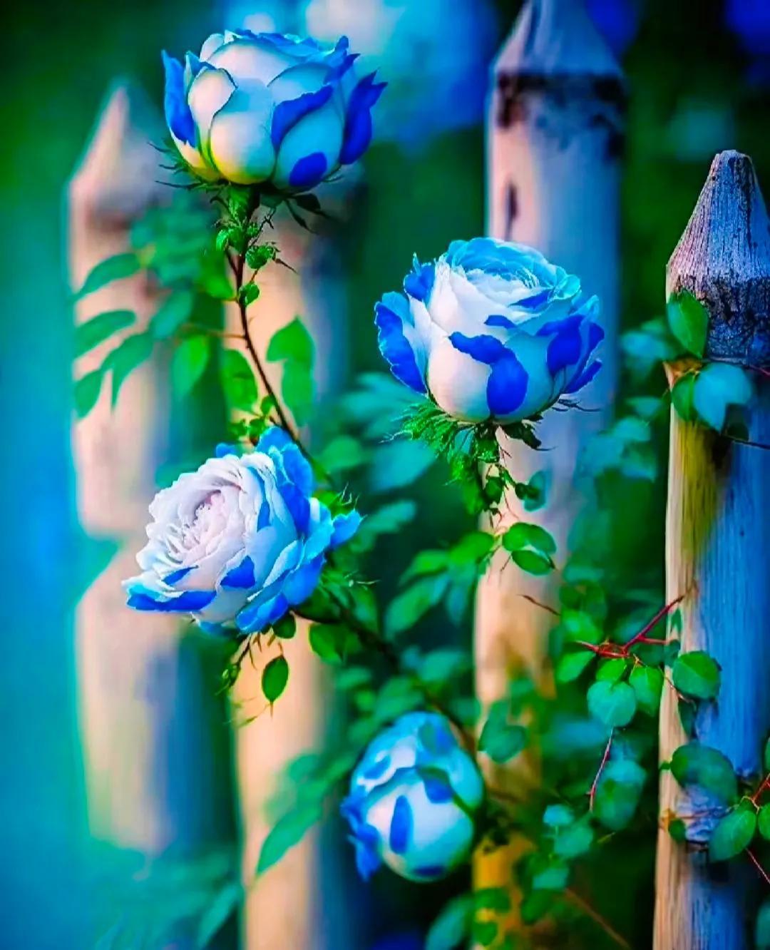 认真工作，用心生活，善待自己，人生才有意义(图2)