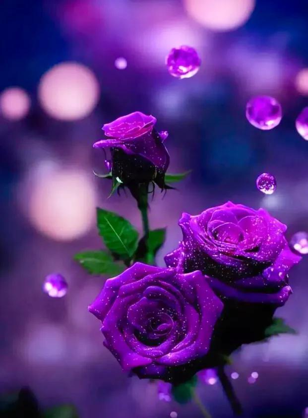 认真工作，用心生活，善待自己，人生才有意义(图3)