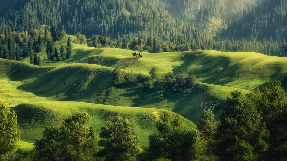 旅行的唯美文案【收藏】(图18)