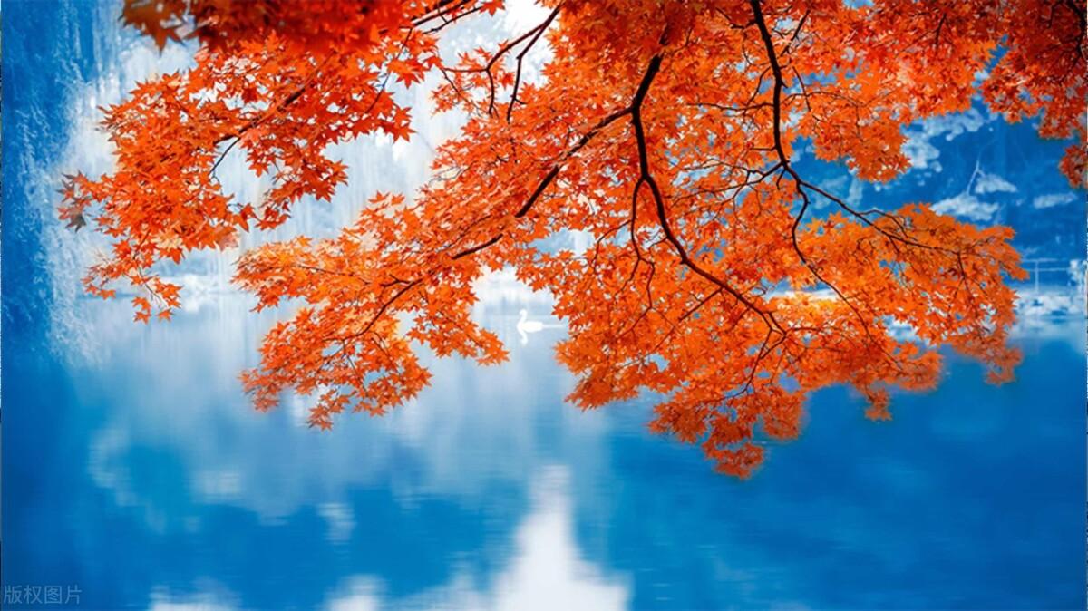 旅行的唯美文案【收藏】(图19)