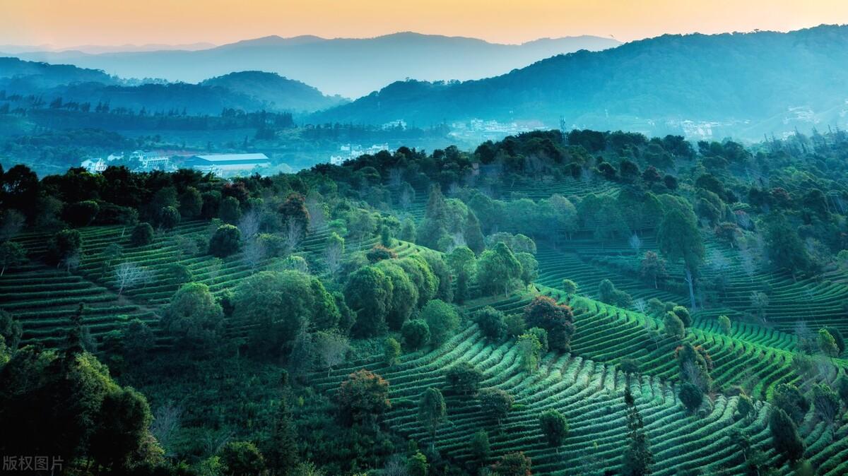 旅行的唯美文案【收藏】(图22)