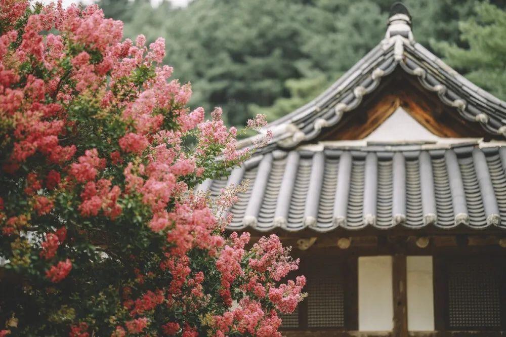 读懂《滕王阁序》的10句名言，就可以笑对人生!(图1)