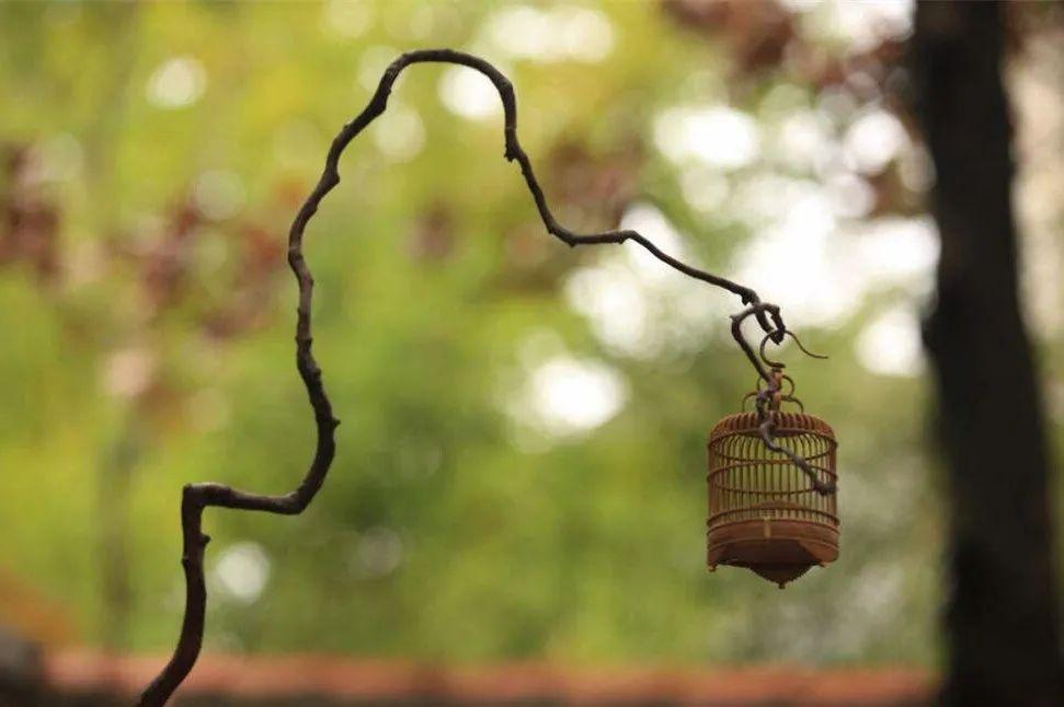 读懂《滕王阁序》的10句名言，就可以笑对人生!(图7)